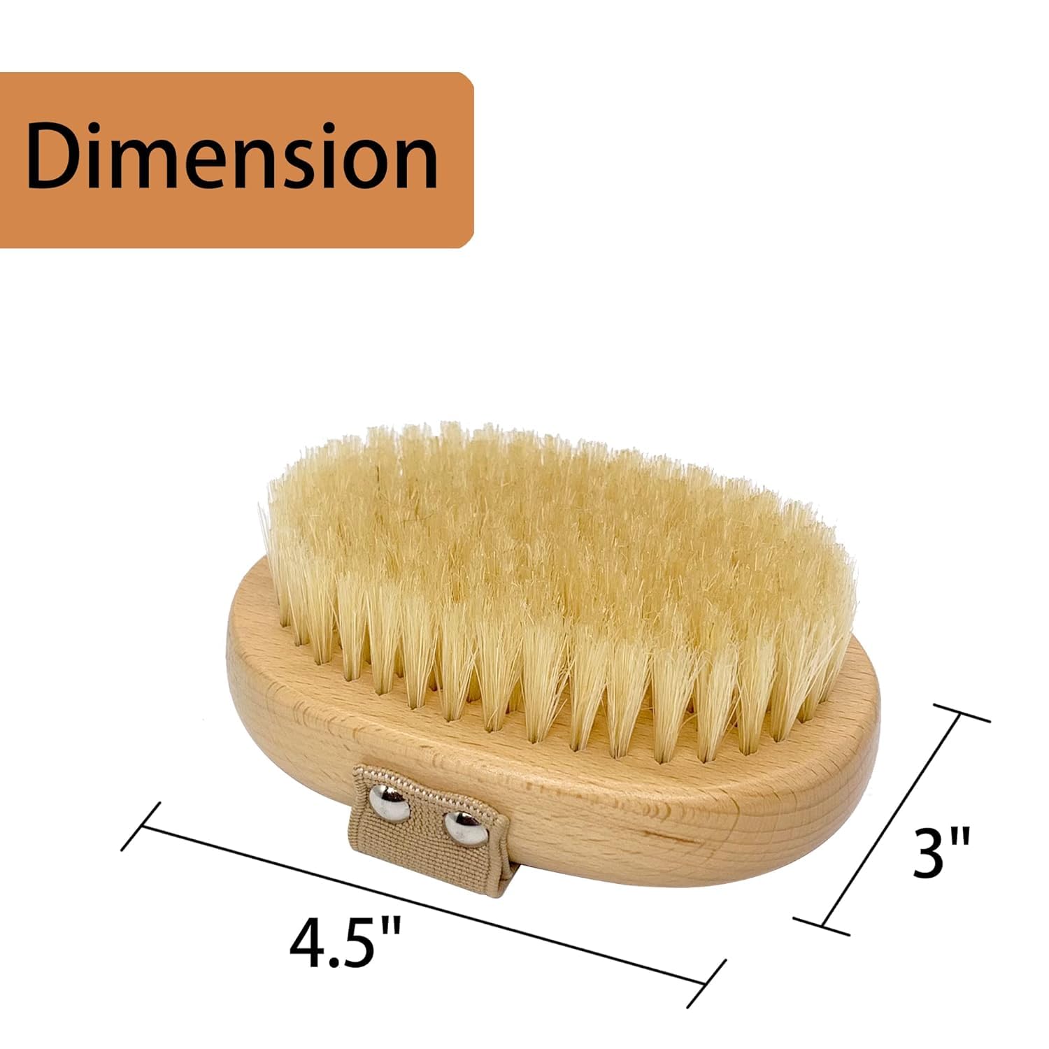 Casidoxi Natural Boar Bristle Brush promotes coat shine and even oil distribution.