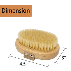 Casidoxi Natural Boar Bristle Brush promotes coat shine and even oil distribution.