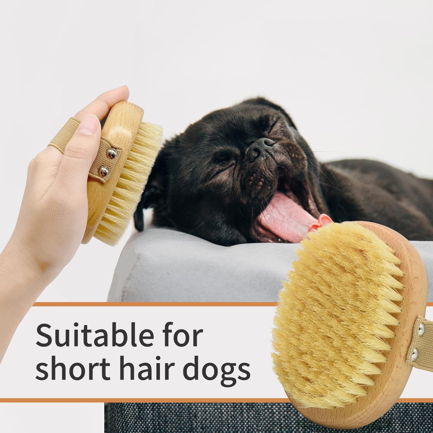 Casidoxi Pet Grooming Brush provides soothing massage during brushing sessions.