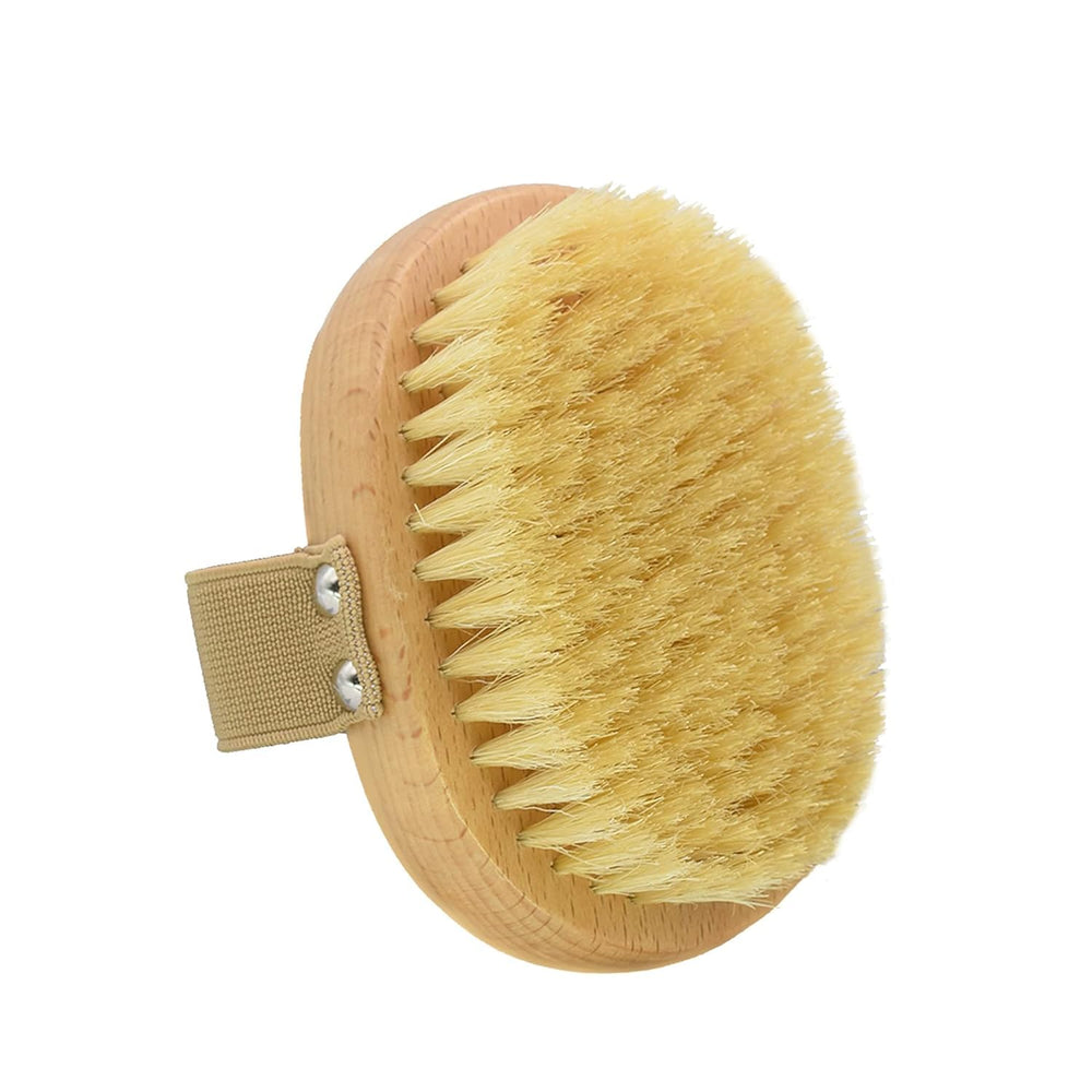 Casidoxi Short-haired pet brush suitable for cats and dogs.