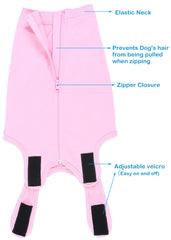 Caslfuca conical/e-neck alternative reduces anxiety while allowing eating and play.