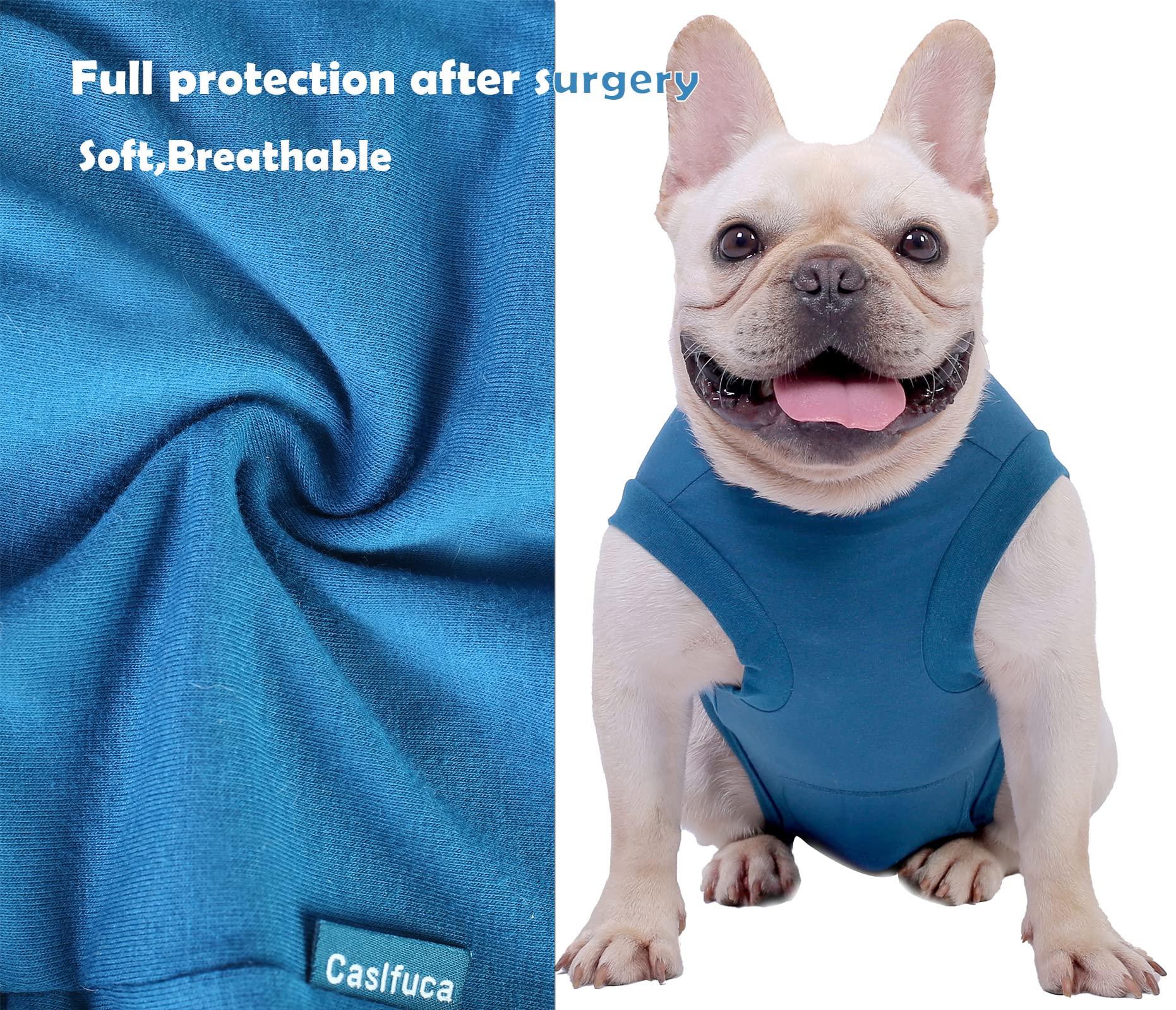 Caslfuca dog surgery recovery suit lick-prevention illustration highlights wound protection post-surgery.