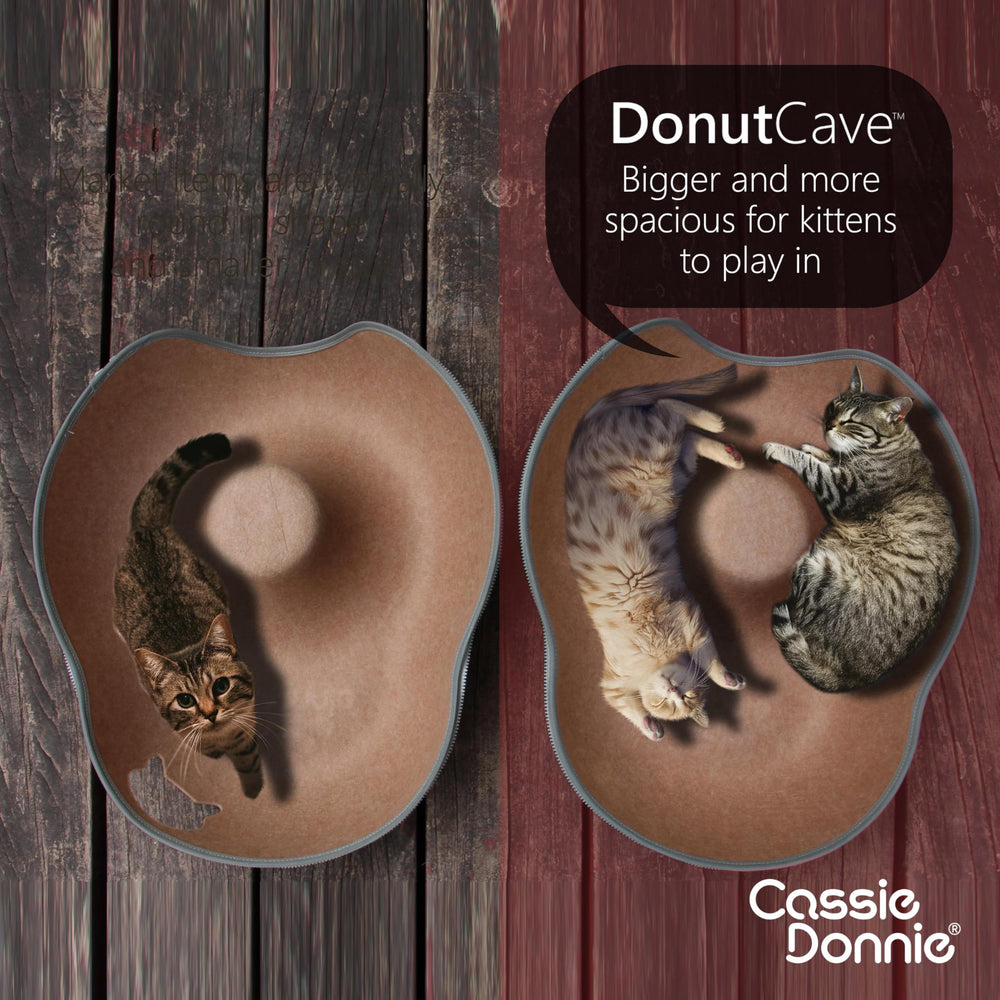 CassieDonnie cat tunnel bed durable construction withstands daily play and lounging.