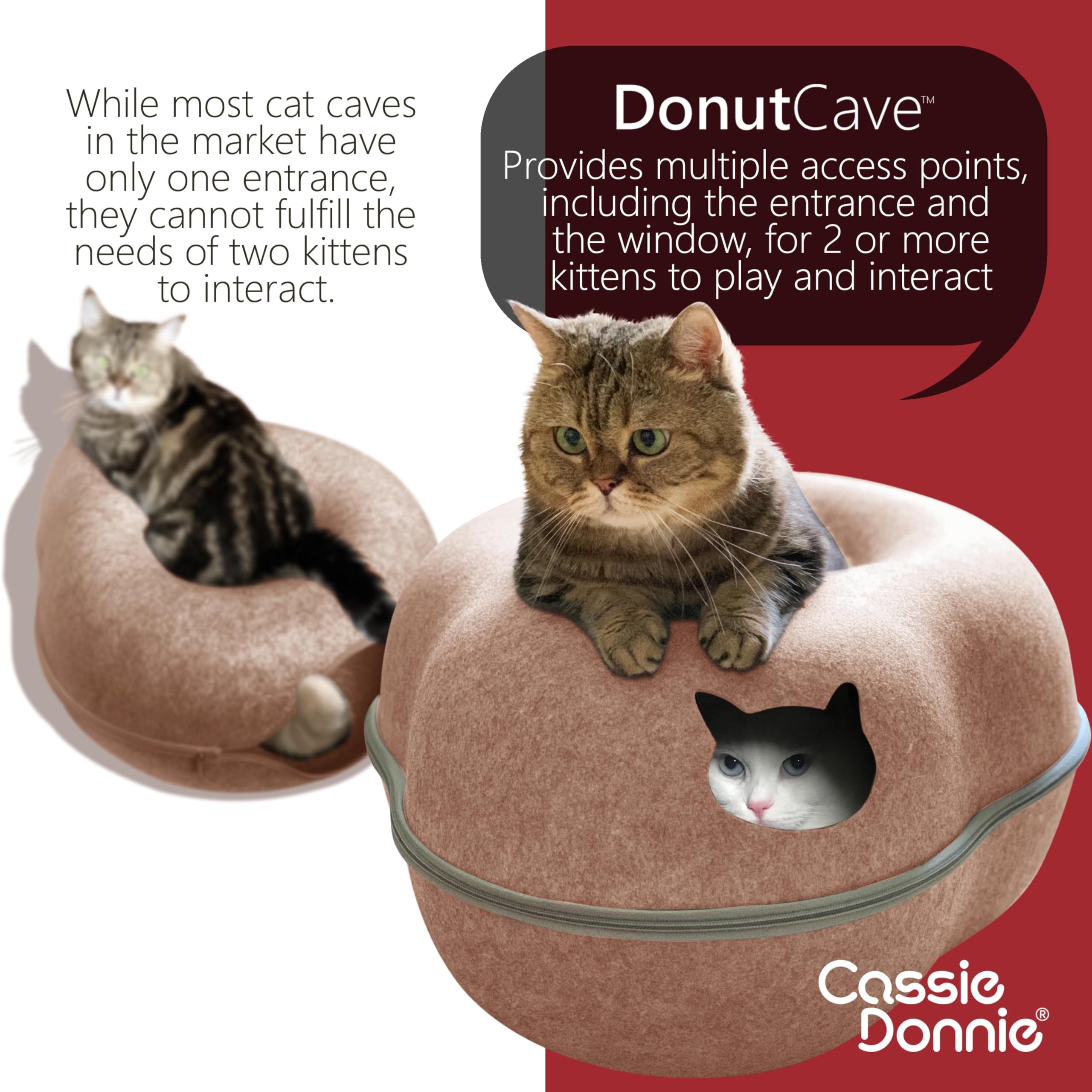CassieDonnie cat tunnel bed two-cat capacity supports shared lounging and bonding.