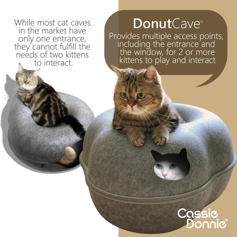 CassieDonnie Donut Cave eco-friendly construction highlights recycled materials and odor resistance.