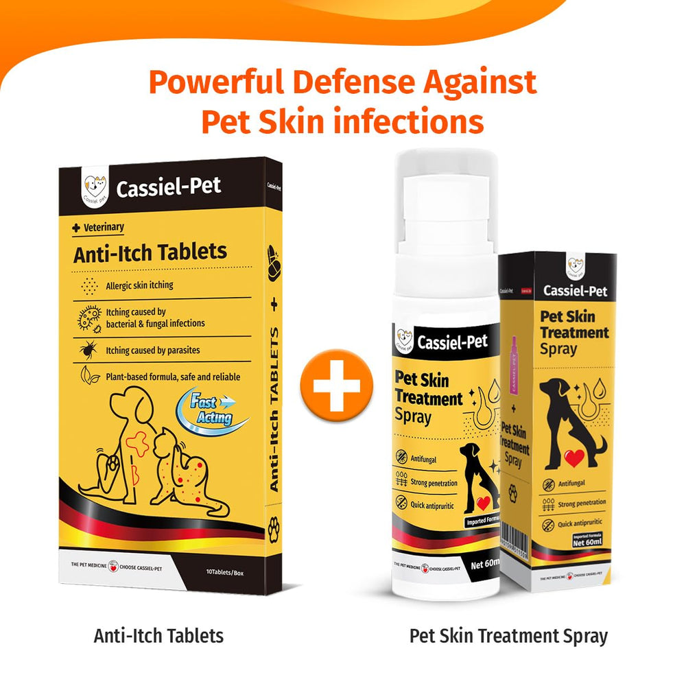Cassiel pet dog-cat relief scene shows a comfortable, calm pet.