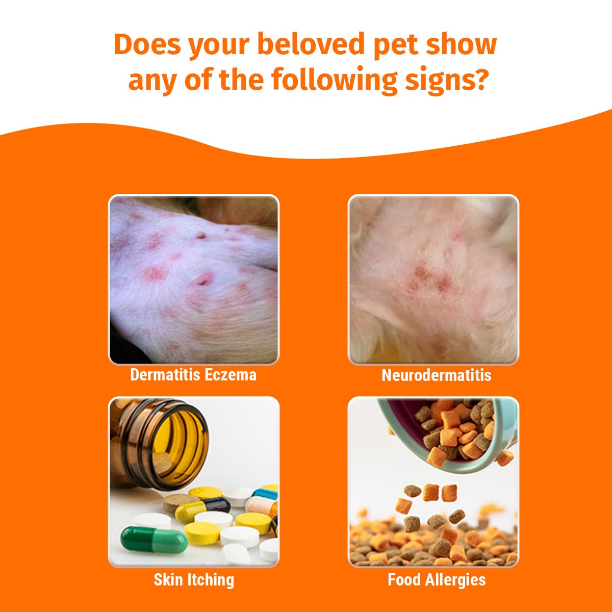 Cassiel pet dog chews being dosed by hand for easy feeding.