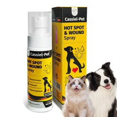 Cassiel pet hot spot spray bottle closeup for quick itch relief.