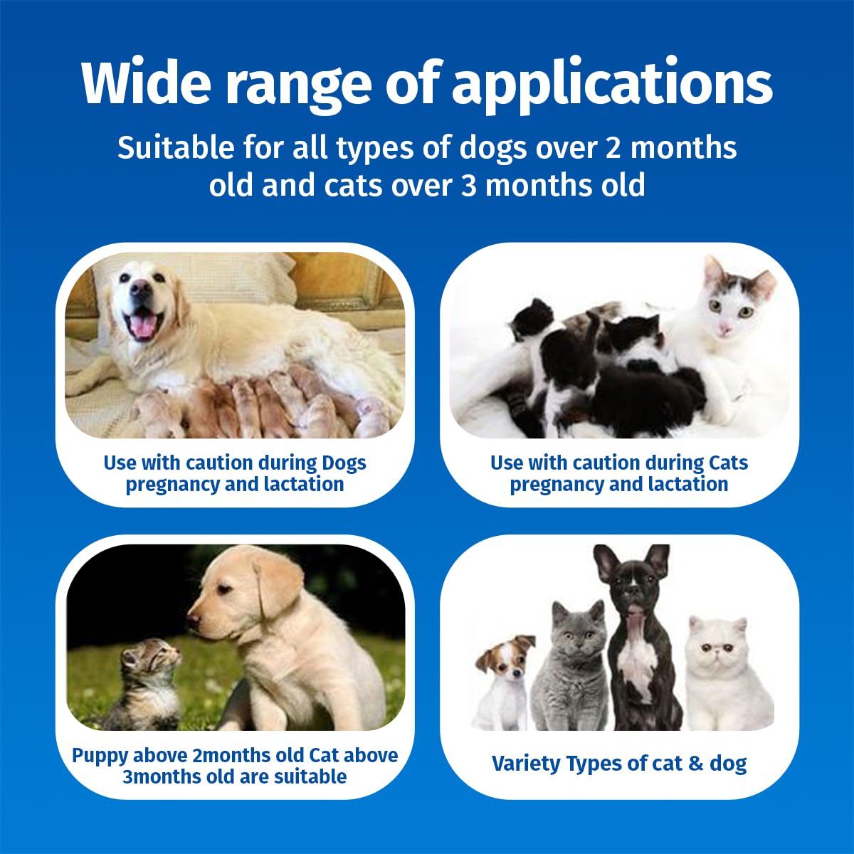 Cassiel Pet Hot Spot Spray safe for dogs and cats of all ages.