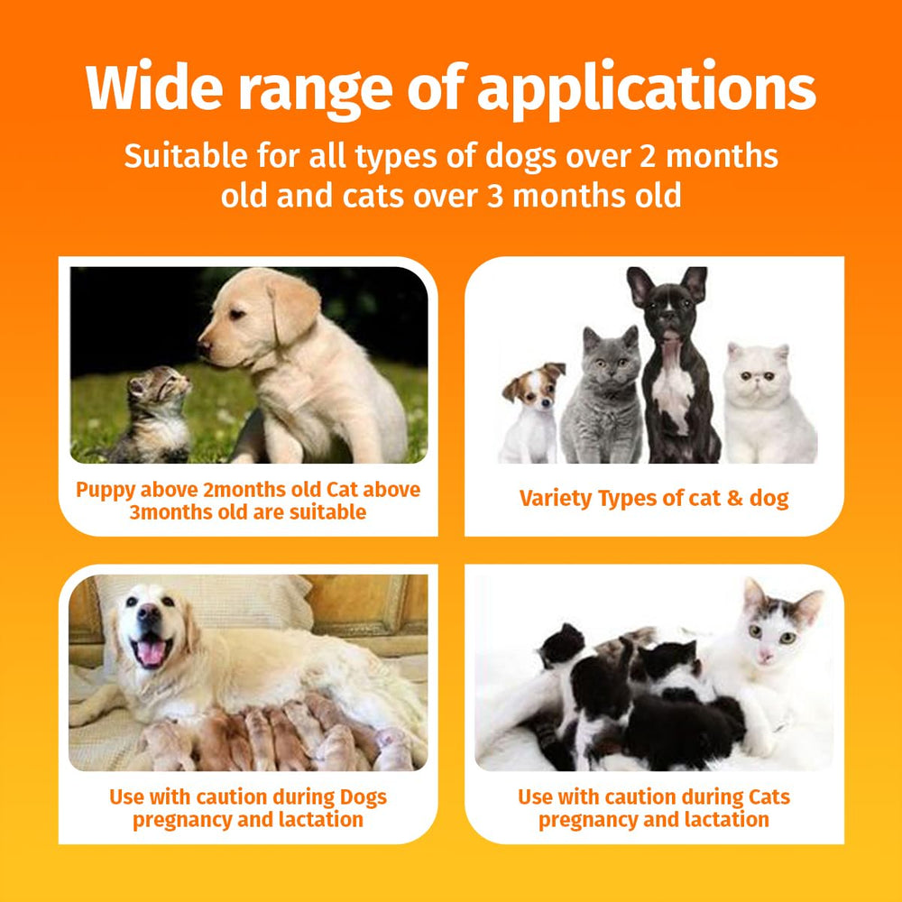 Cassiel pet hot spot spray trusted by vets for skin care.