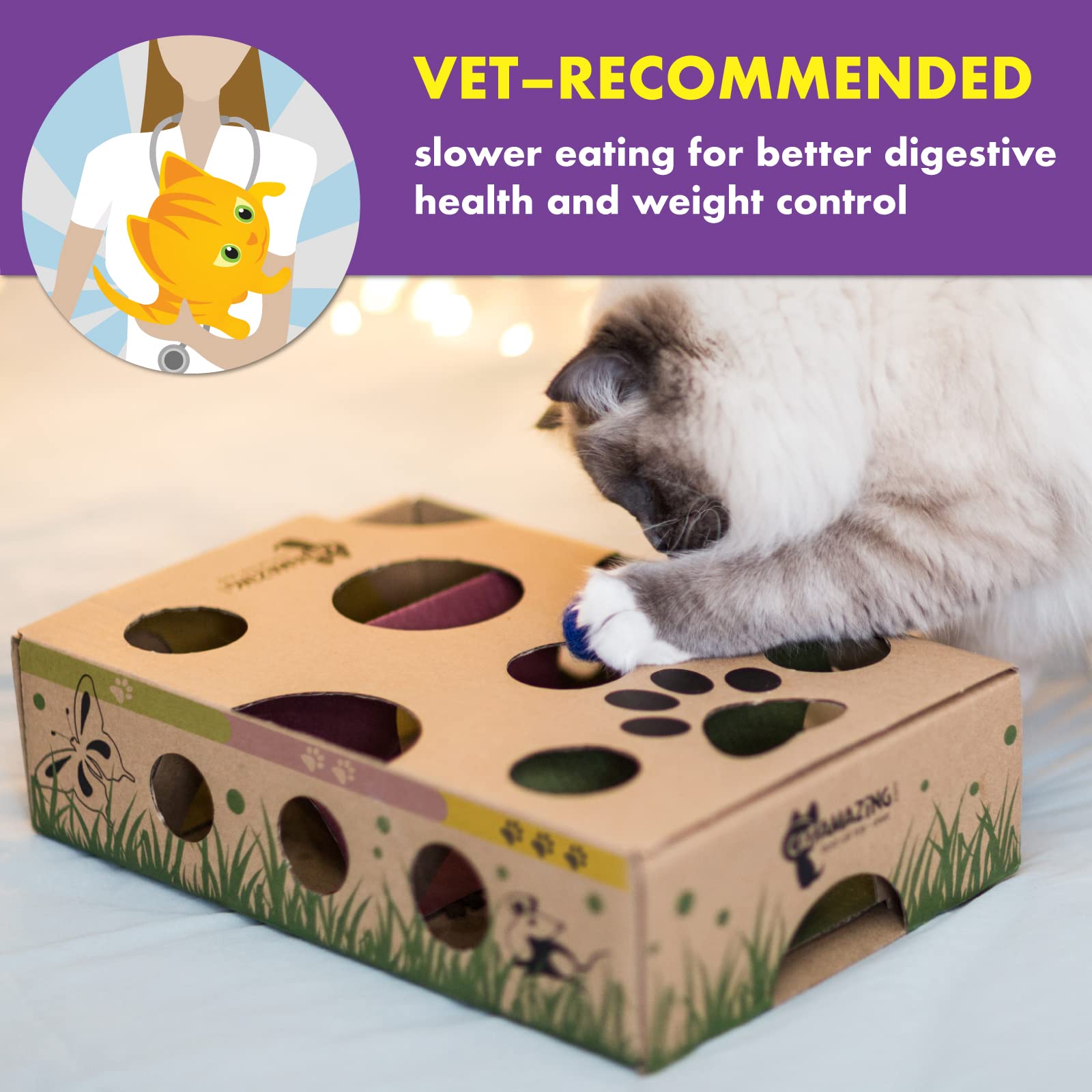 Cat Amazing cat-nose-sniff-retrieve emphasizes exploration and rewards.