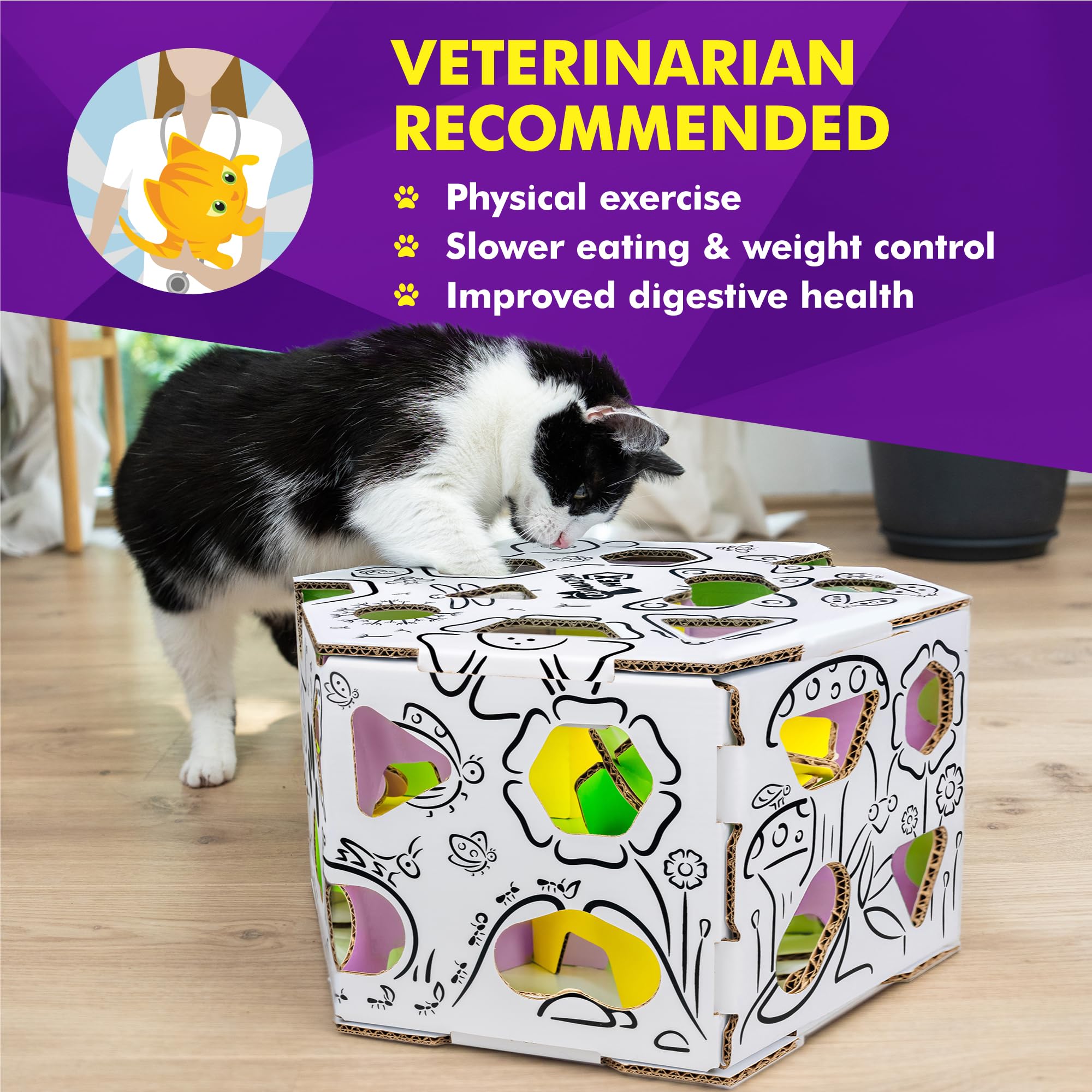 Cat Amazing HEX cat-enrichment-playtime captures a curious cat exploring.