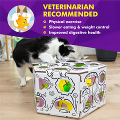 Cat Amazing HEX cat-enrichment-playtime captures a curious cat exploring.