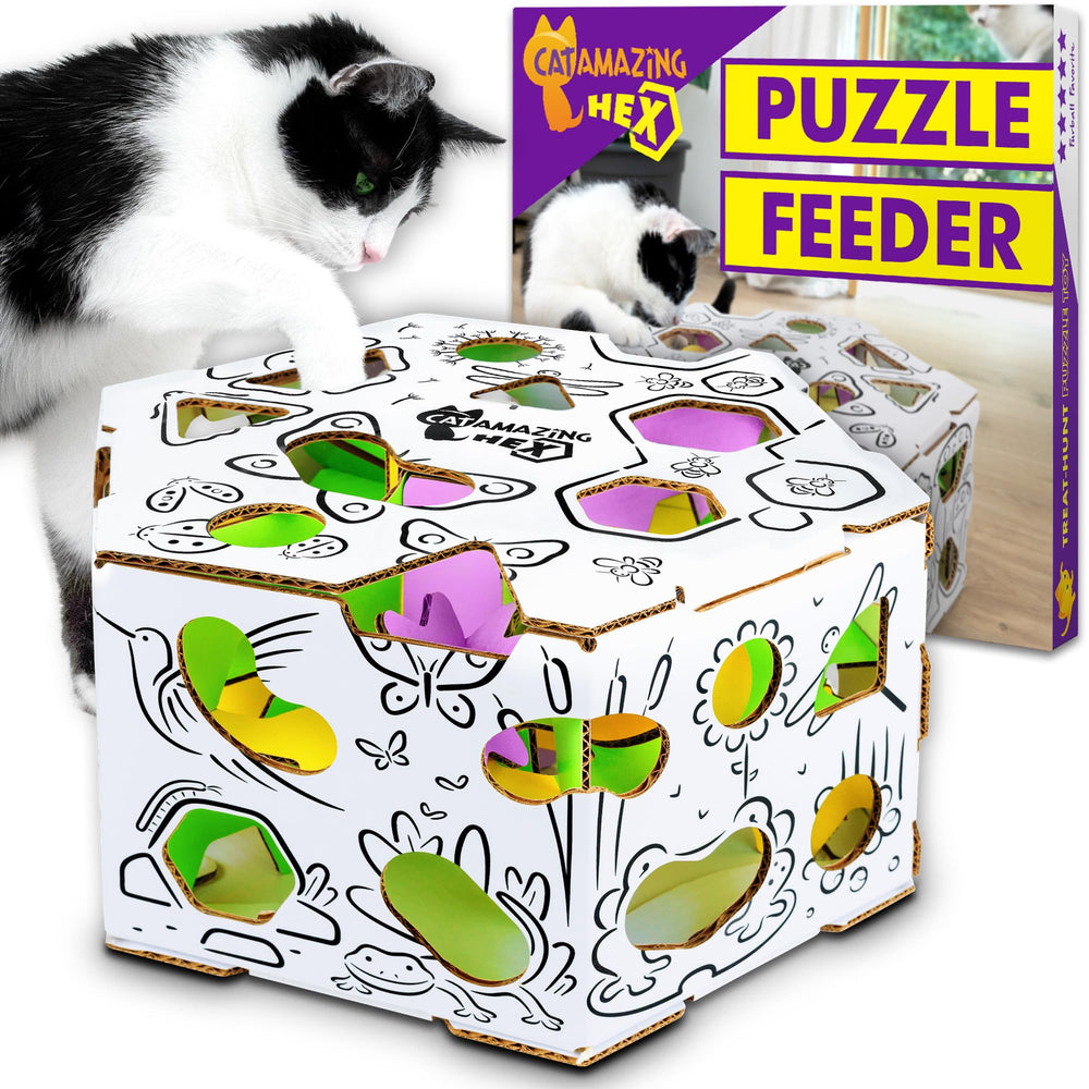 Cat Amazing HEX interactive puzzle box provides mental enrichment during play.