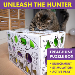 Cat Amazing MEGA cat in action demonstrates foraging and problem-solving play.
