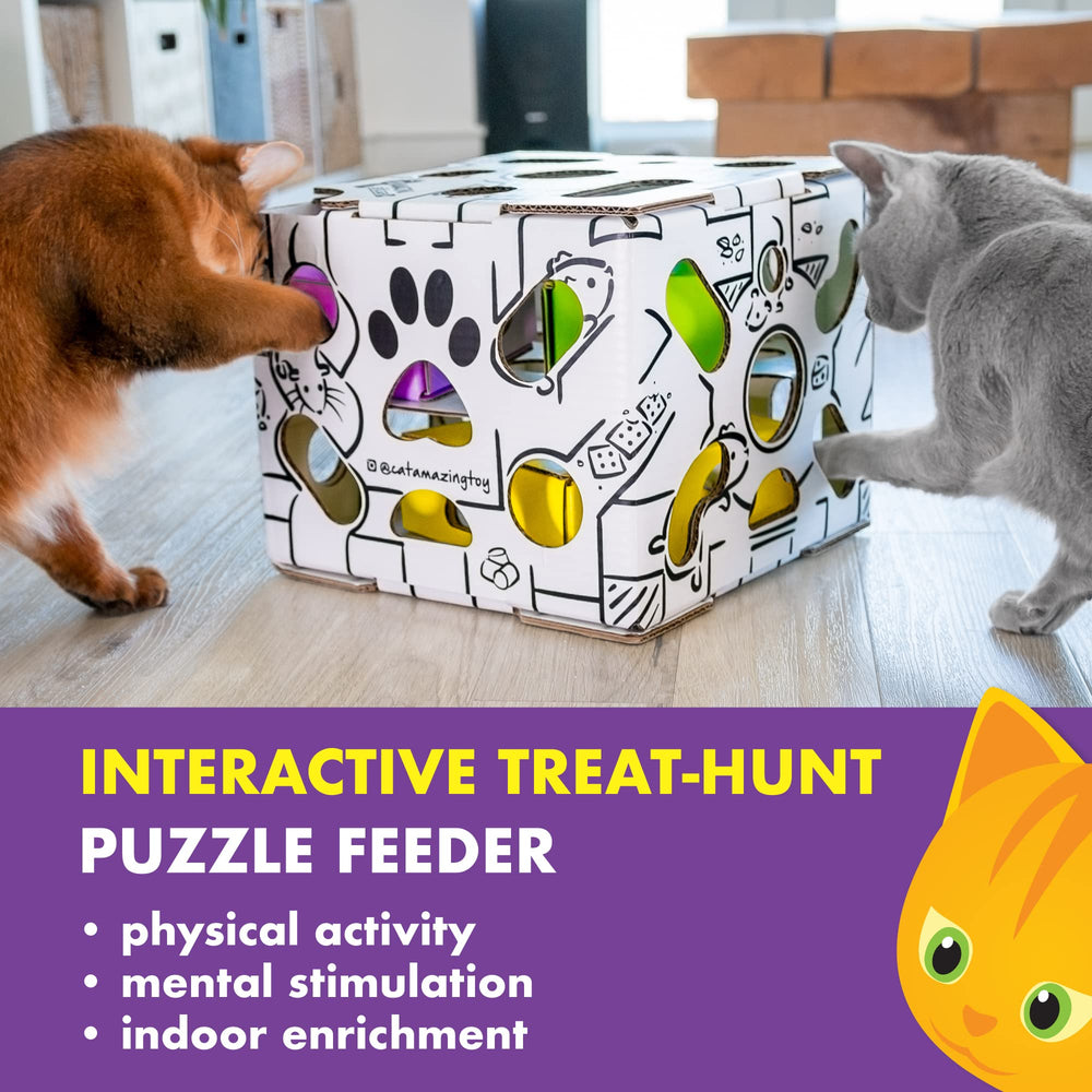 Cat Amazing Sliders gift-ready enrichment for cat lovers and their pets