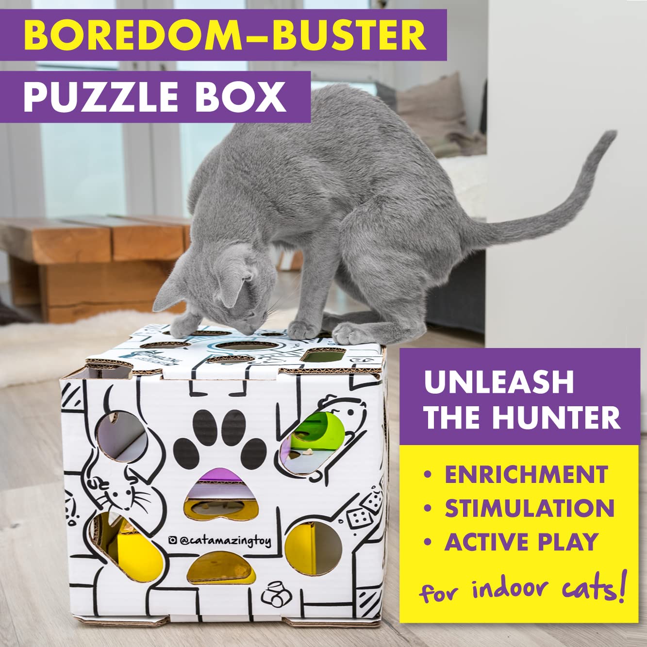 Cat Amazing Sliders sliding inner boxes challenge cat problem-solving