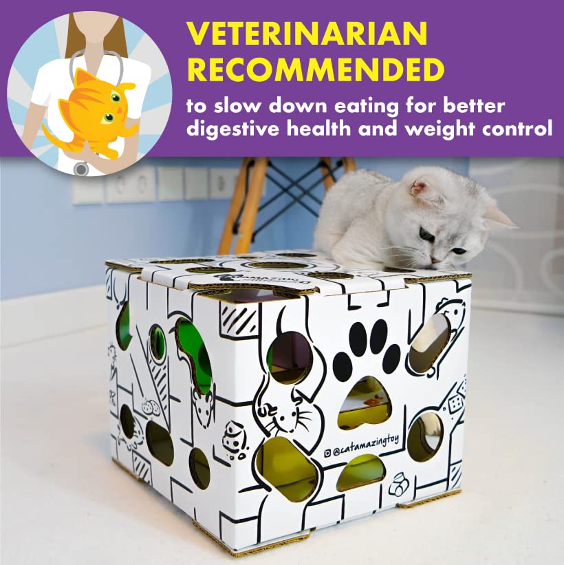 Cat Amazing Sliders veterinarian-recommended exercise and mental stimulation for cats