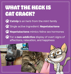Cat Crack with 78% Nepetalactone showcases potent aroma for engaging play sessions.