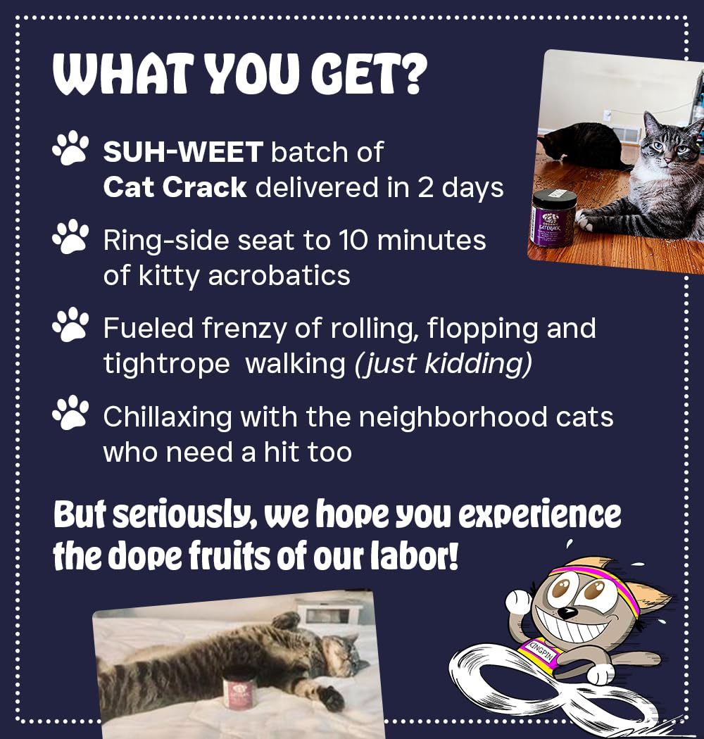 Cat Crack sprinkle-on-toy use-case shows how to boost interactive play and curiosity.