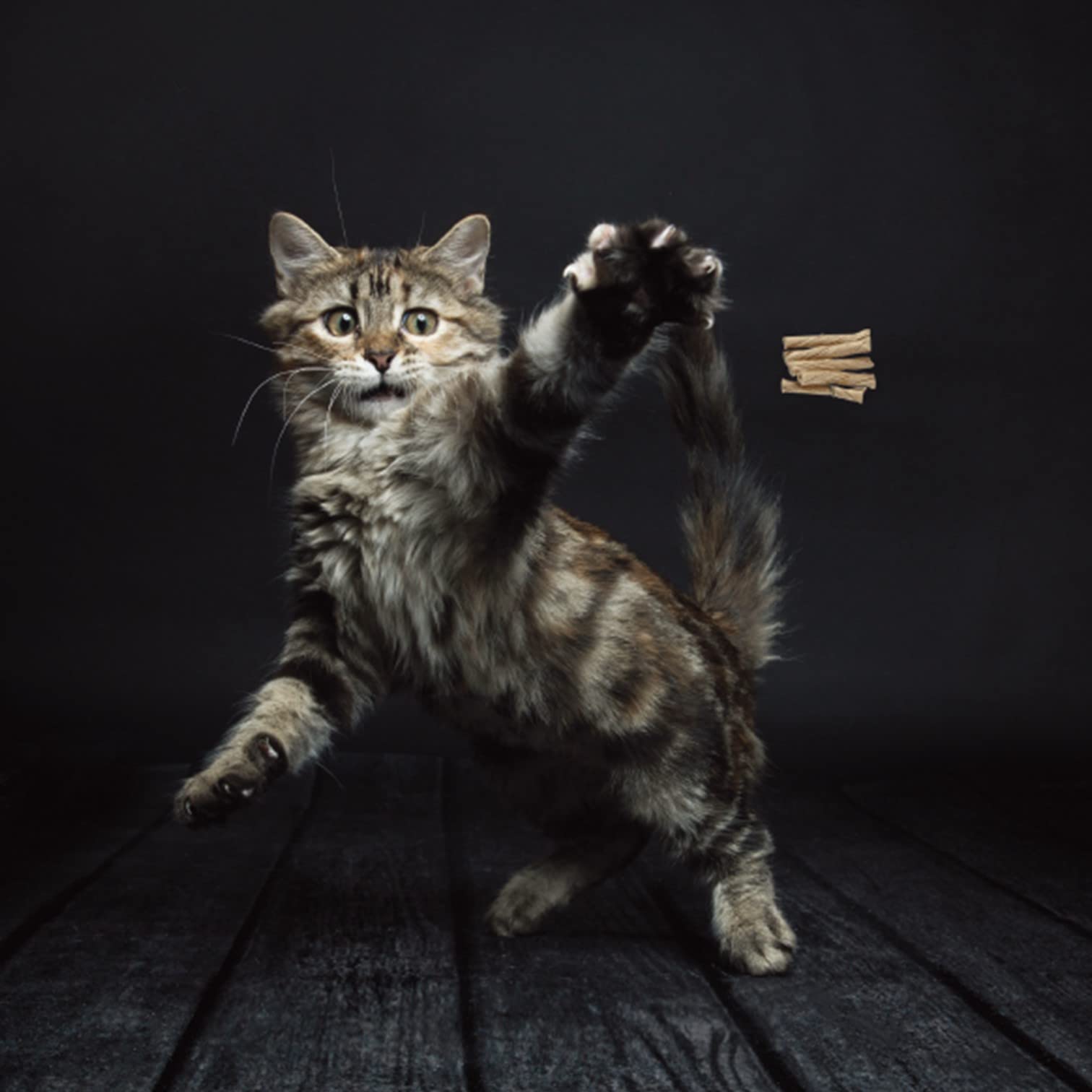 Cat Dancer 101 toy brown closeup spring-wire highlights sturdy design for energetic indoor play