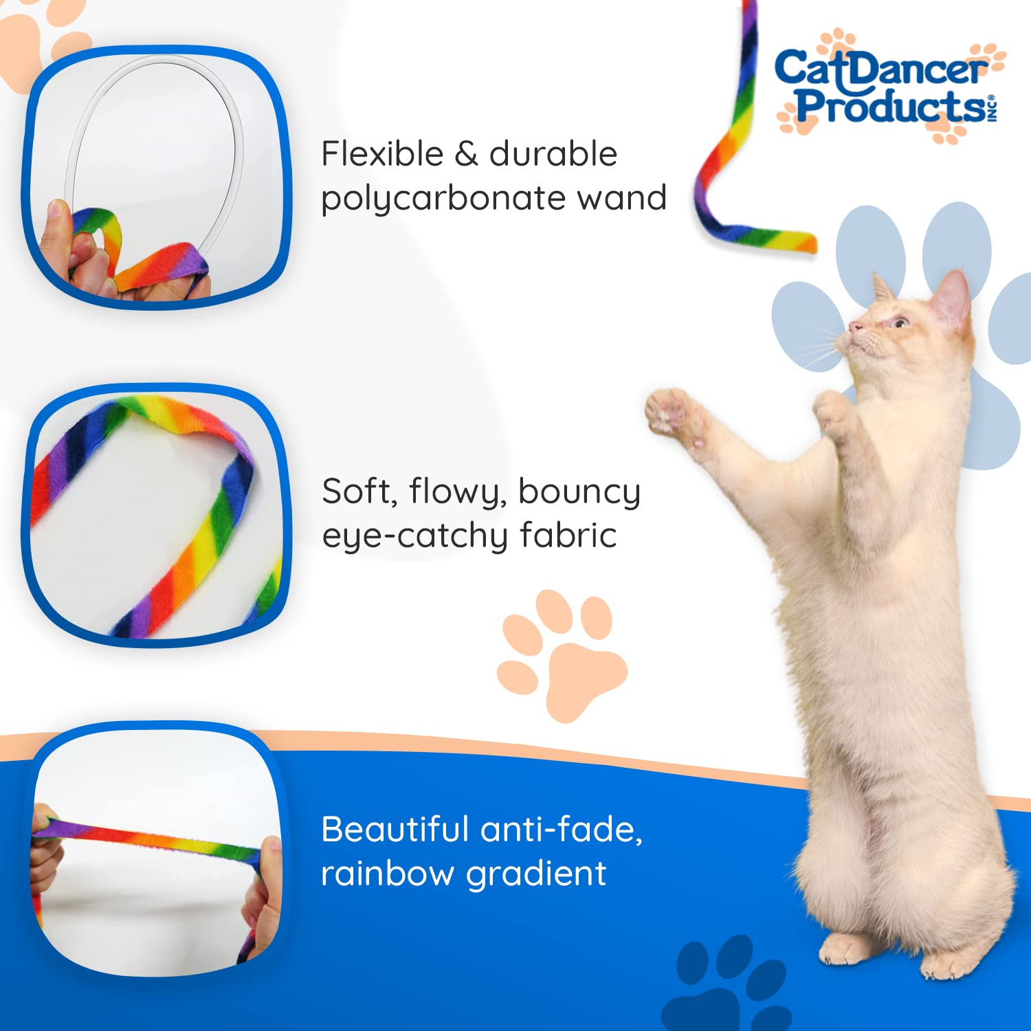Cat Dancer Rainbow Cat Charmer in action enticing a curious kitten.