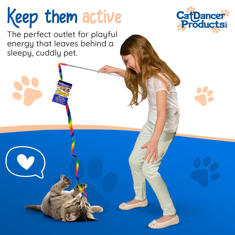 Cat Dancer Rainbow Cat Charmer kitten play session promoting movement.