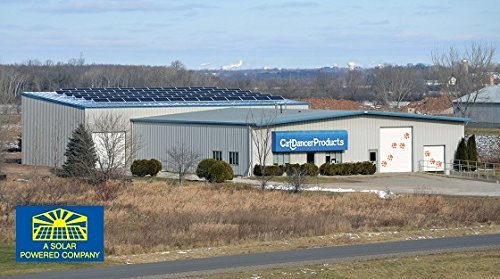 Cat Dancer Jungle Cat Charmer made with safe non-toxic materials.