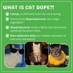 Cat Dope Catnip sealed tin preserves freshness for reliable playtime