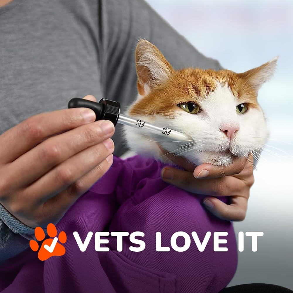 Cat-in-the-bag Cozy Comfort Carrier interior with bottom access for grooming and brushing.