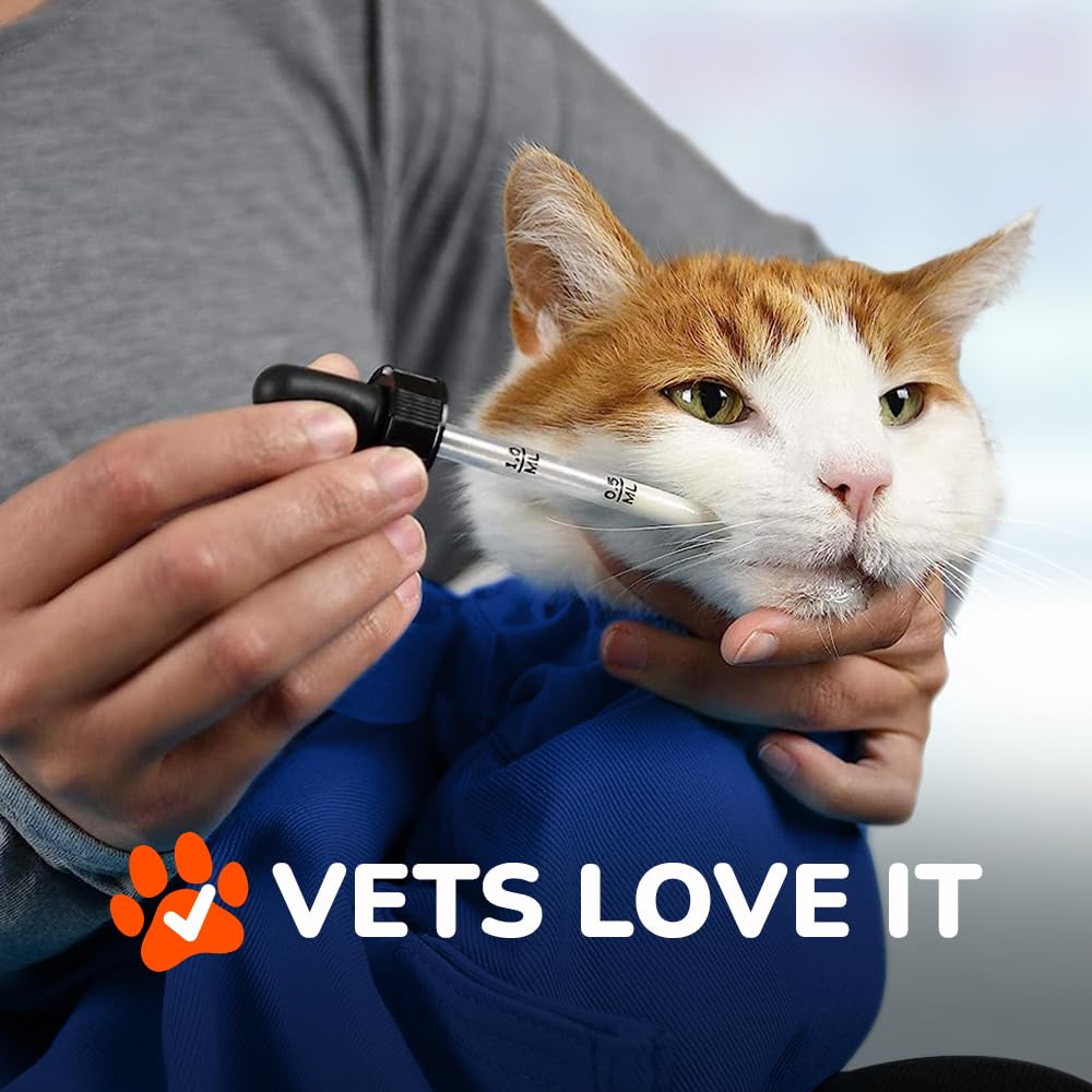 Cat-in-the-bag Cozy Comfort Carrier seatbelt pass-through supports secure car trips.