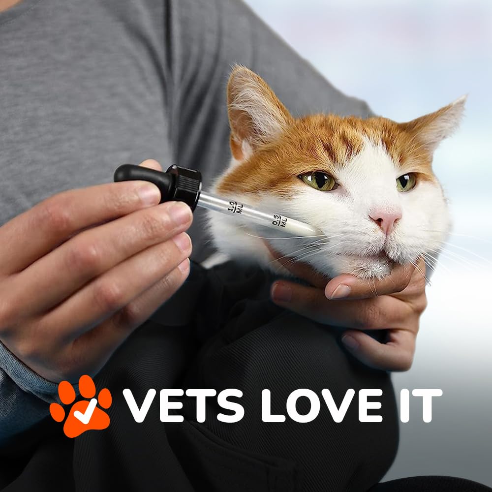 Cat-in-the-Bag Cozy Comfort Carrier car-seat belt pass-through in transit.