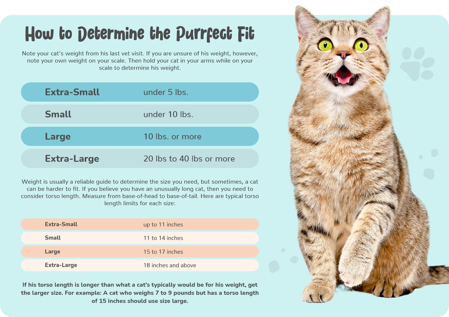 Cat-in-the-bag Cozy Comfort Carrier zipper pockets highlight secure access during vet visits.
