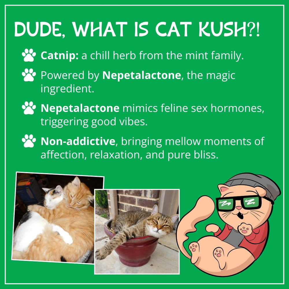 Cat Kush Organic Catnip jar reveals dried leaves for long-lasting kitty play