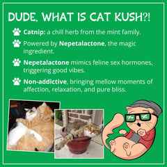 Cat Kush Organic Catnip jar reveals dried leaves for long-lasting kitty play