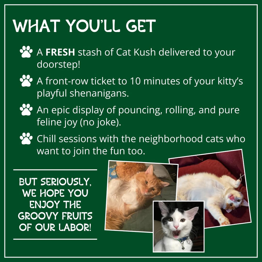 Cat Kush Organic Catnip packaging 1 cup ready for fresh use