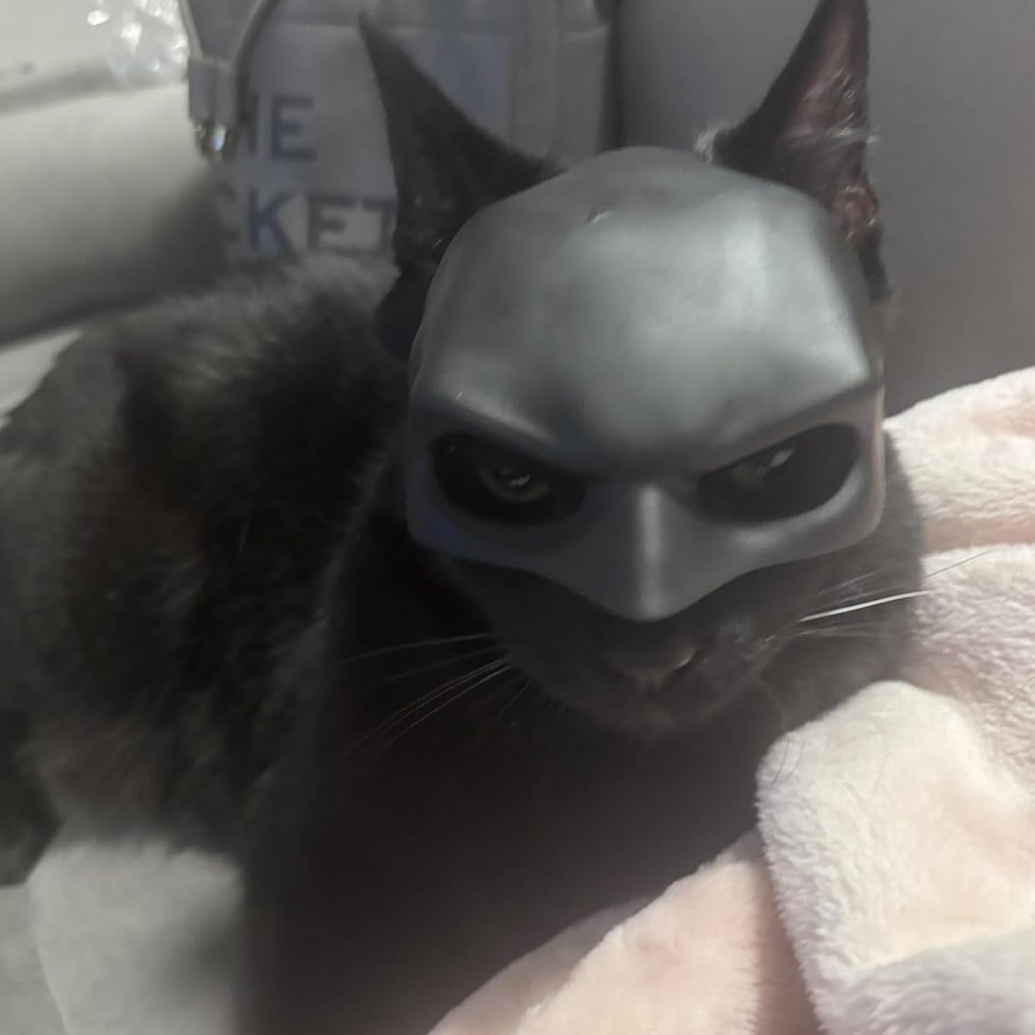 Cat Mask Cosplay Halloween-ready accessory: fun costume for pet owners and friends.