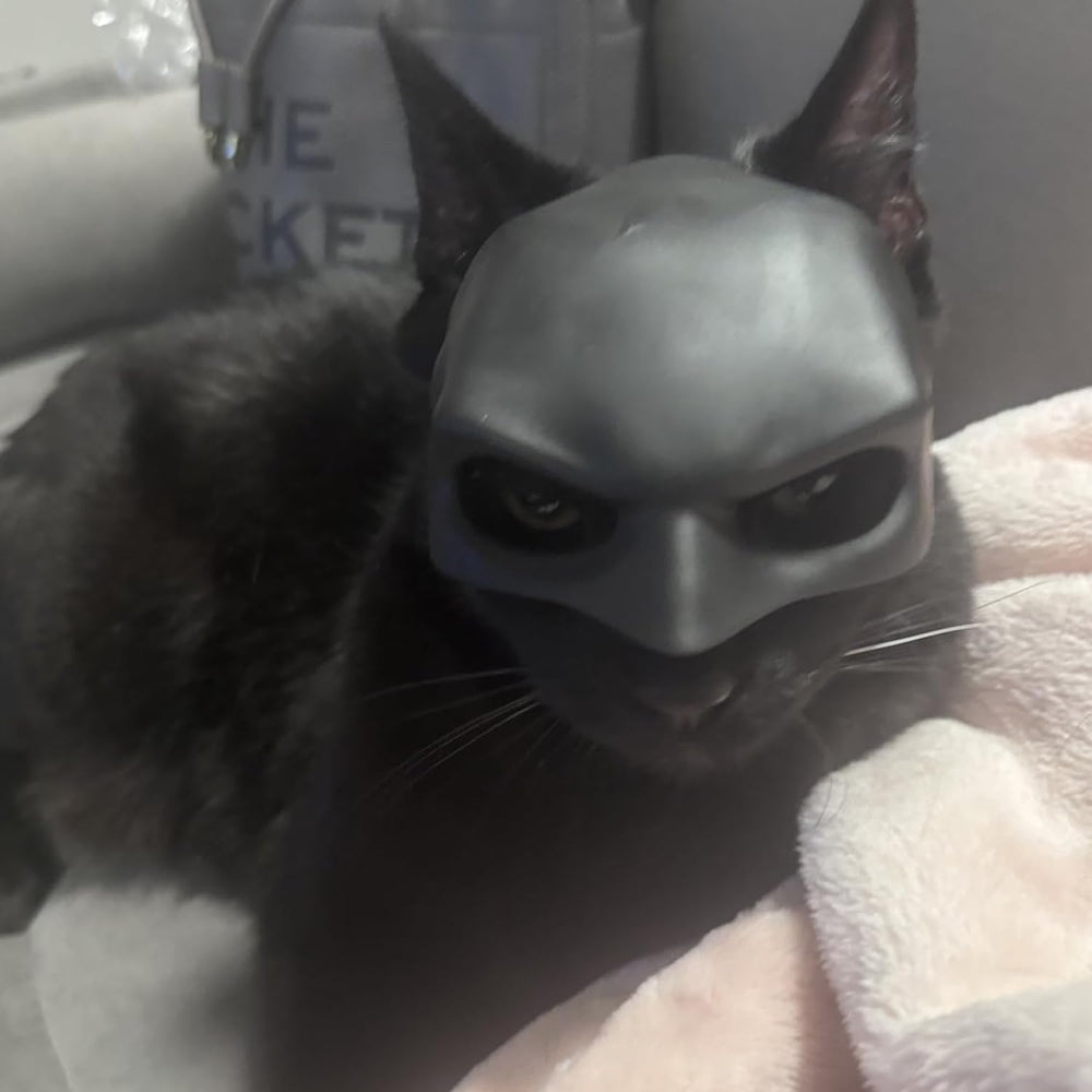 Cat Mask Cosplay Halloween-ready accessory: fun costume for pet owners and friends.