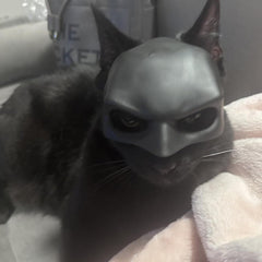 Cat Mask Cosplay Halloween-ready accessory: fun costume for pet owners and friends.