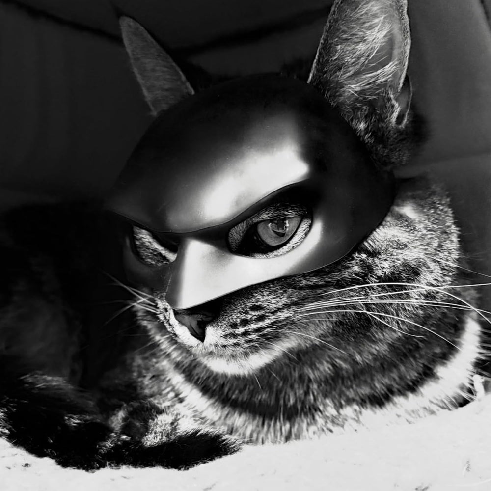 Cat Mask Cosplay on-head fit: gentle cushion reduces pressure during longer wear.