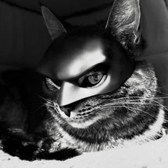 Cat Mask Cosplay on-head fit: gentle cushion reduces pressure during longer wear.