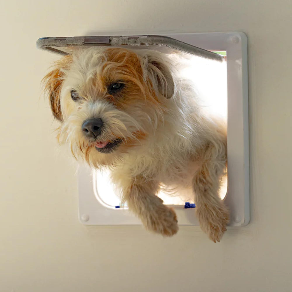 Cat Mate 4-Way Locking Large Cat Flap installation guide for easy setup