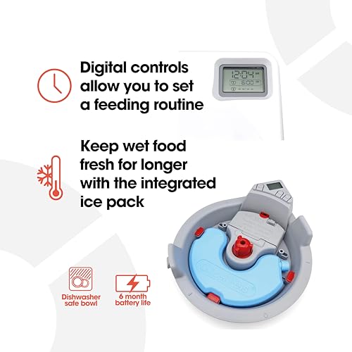 Cat Mate C300 dry and wet compatibility supports mixed feeding.