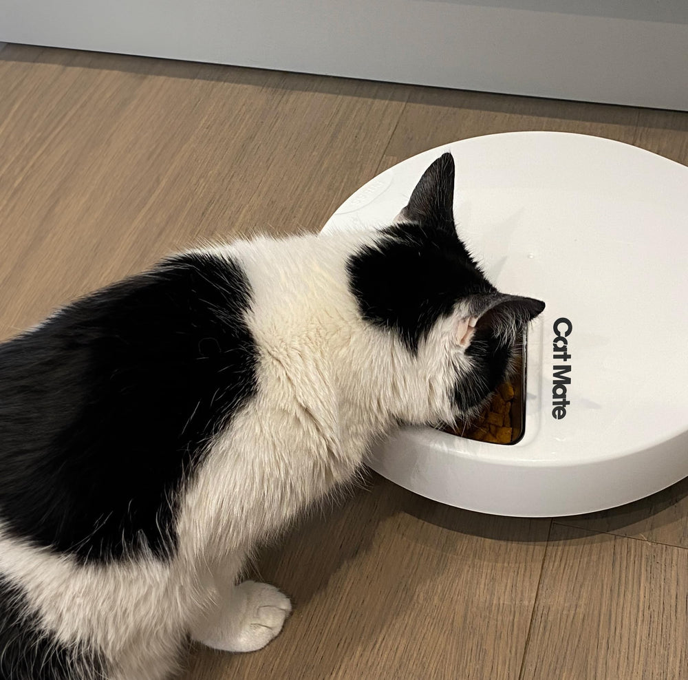Cat Mate compact 9cm length, 2-3cm depth for practical portions.