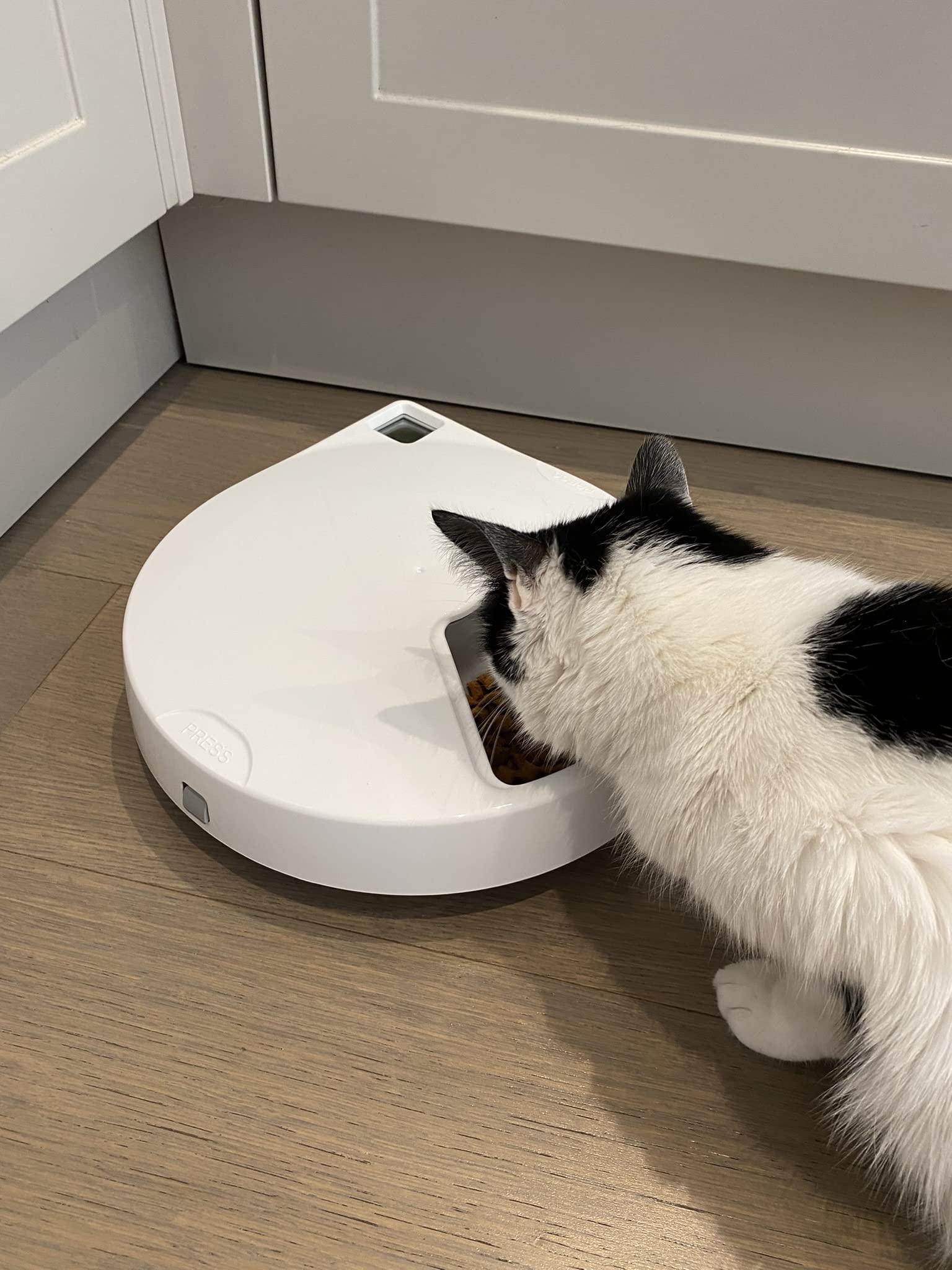 Cat Mate 12cm-wide bowl insert provides ample portion space.
