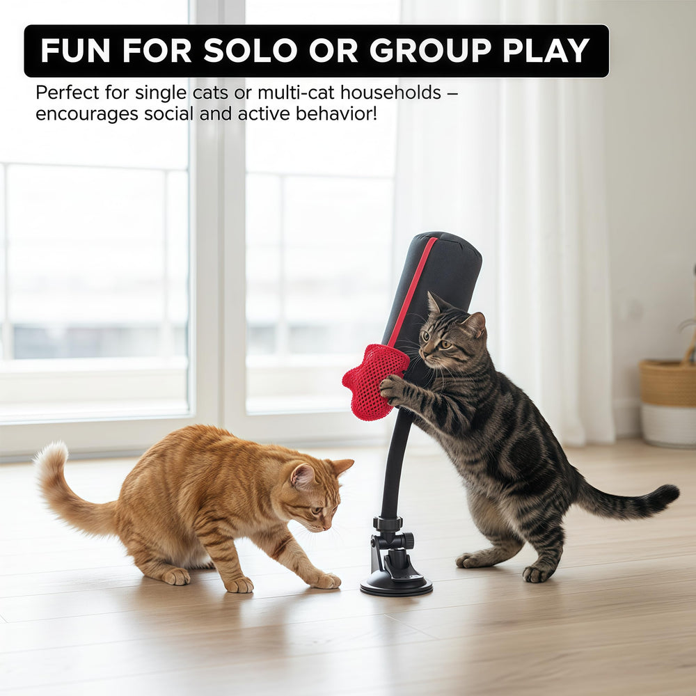 Cat punching bag toy bobbing motion promotes mental and physical stimulation.