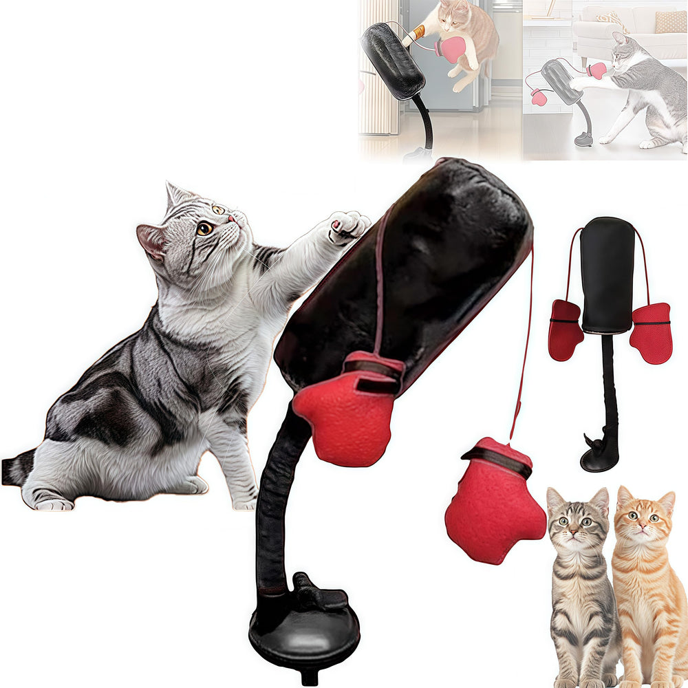 Cat punching bag toy spring action invites active play.