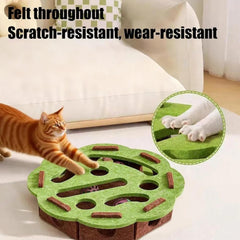 Cat Scratch Puzzle Box durable construction provides long-lasting feline enrichment.