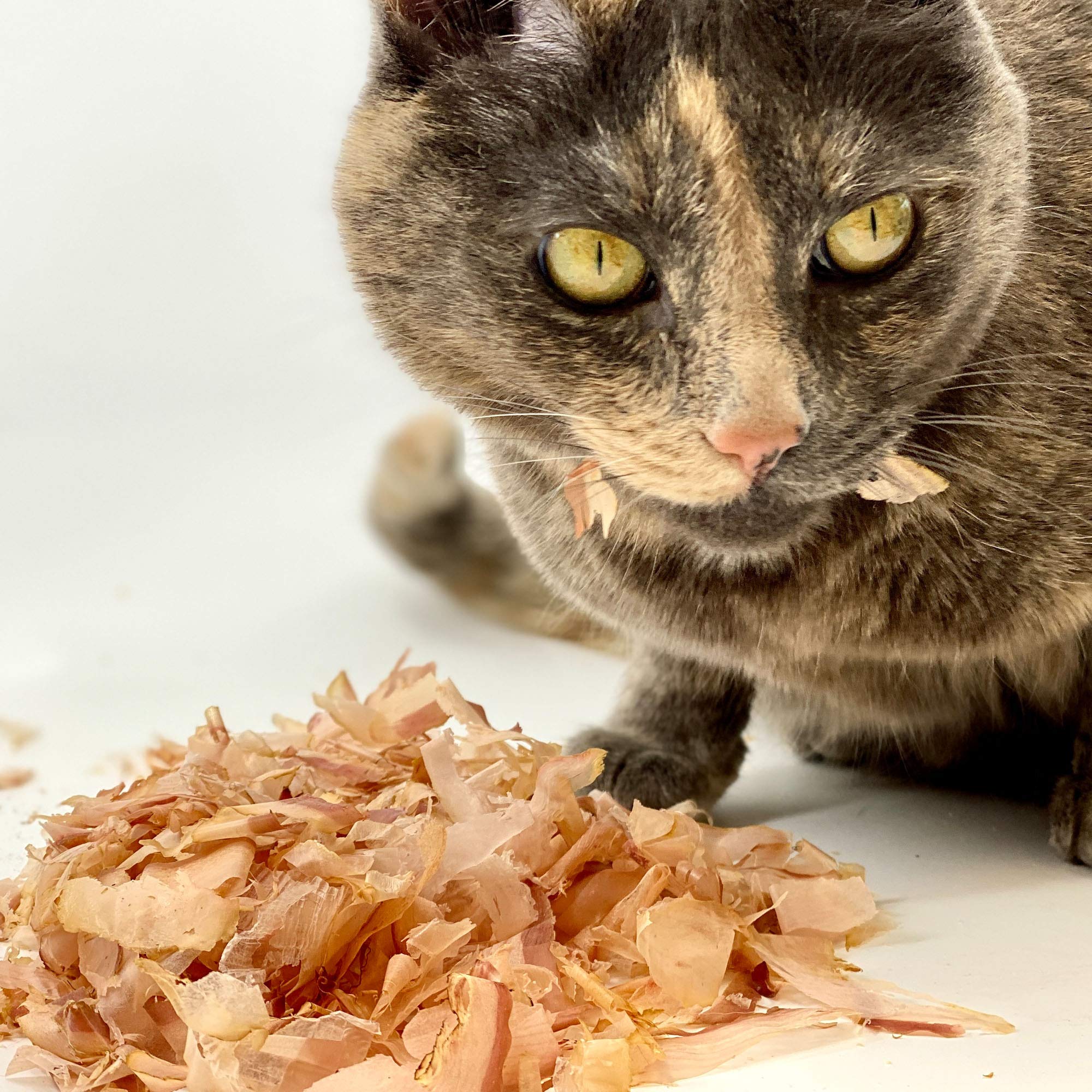 Cat Sushi Bonito Flakes served in a bowl demonstrates meal topping versatility.