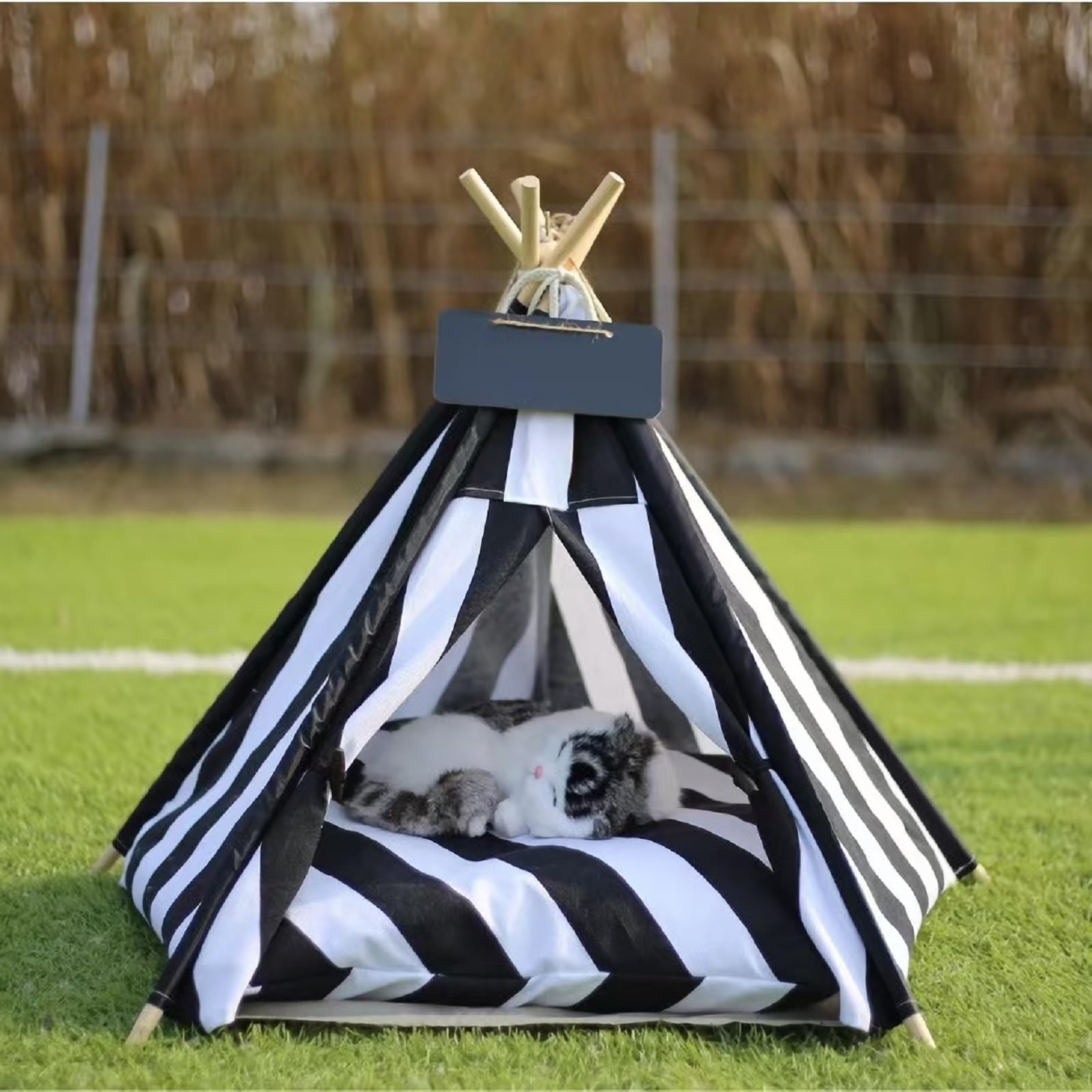 Cat Teepee Tent Bed assembly-in-progress demonstrates tool-free setup